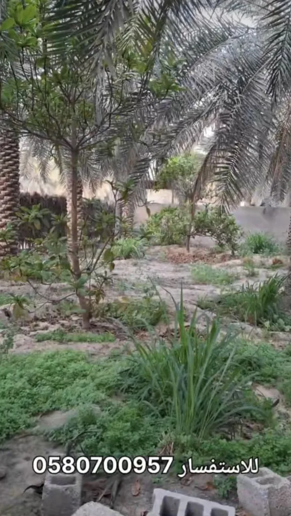 Screenshot_٢٠٢٦٠٨٠٢_٢٣٤٩٢٥_TikTok