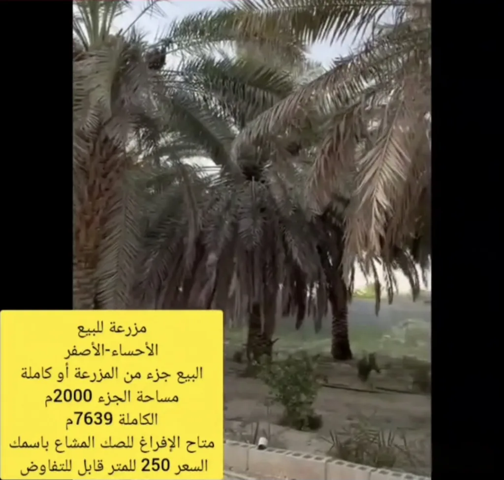 Screenshot_٢٠٢٦٠٨٠٧_١٣١٧٢٩_WhatsAppBusiness